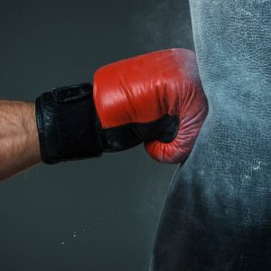 CoreForce Dynamic Stretching Bands