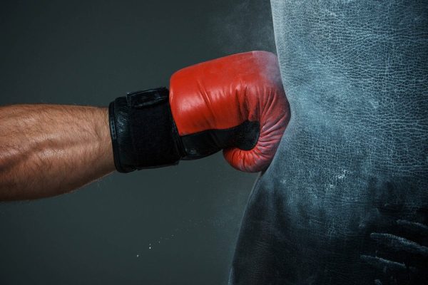 CoreForce Dynamic Stretching Bands